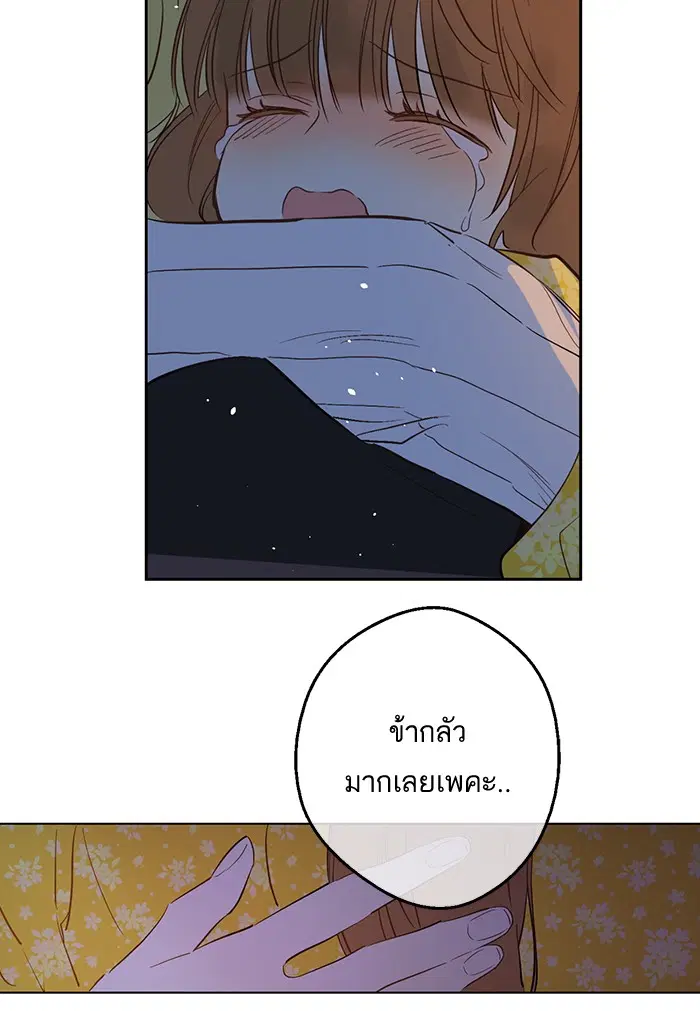 หน้า 49 จาก 70
