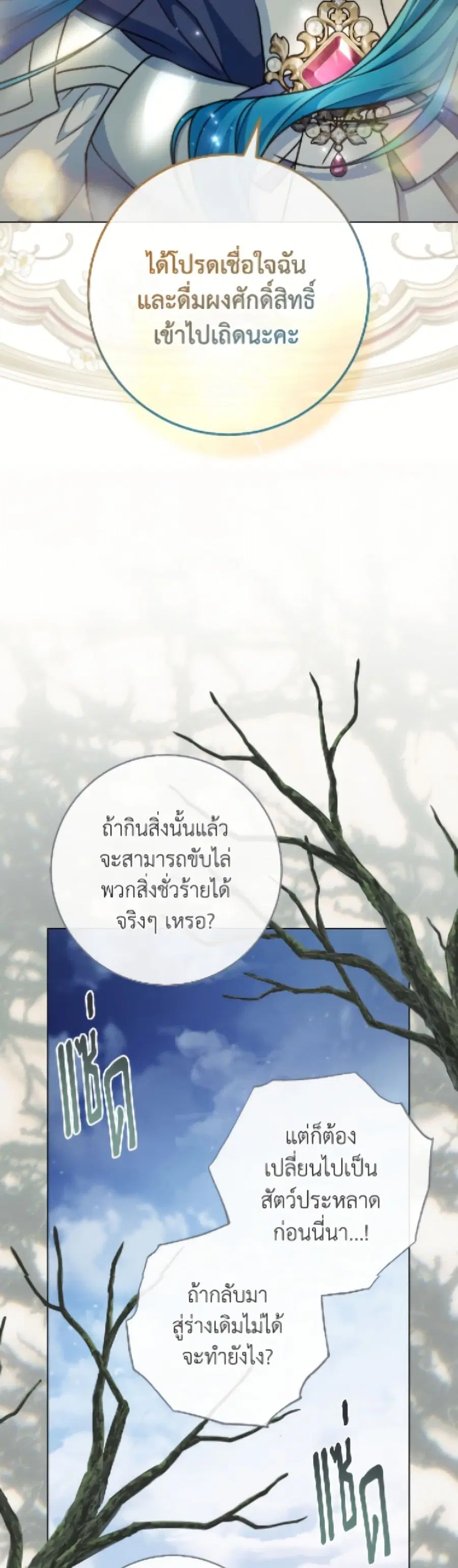 หน้า 24 จาก 52