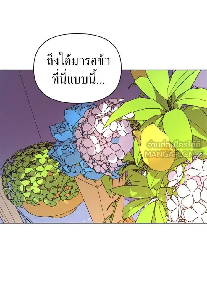 หน้า 42 จาก 162