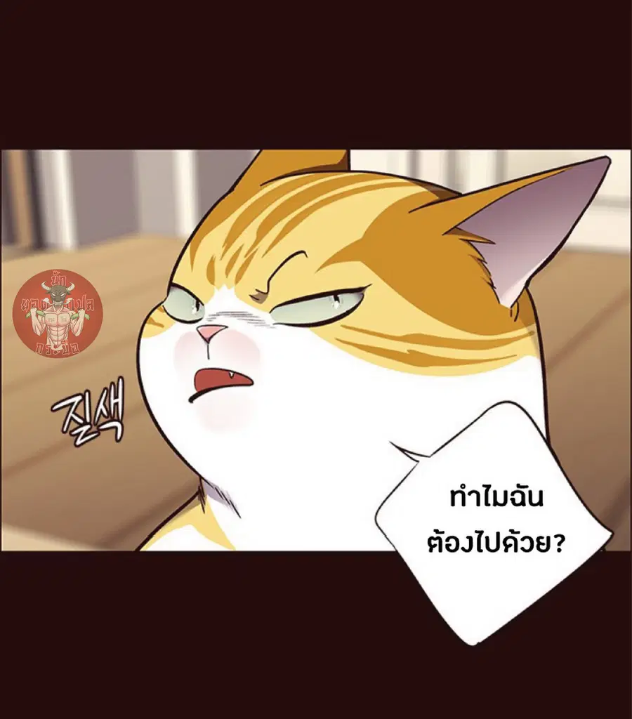 หน้า 60 จาก 71