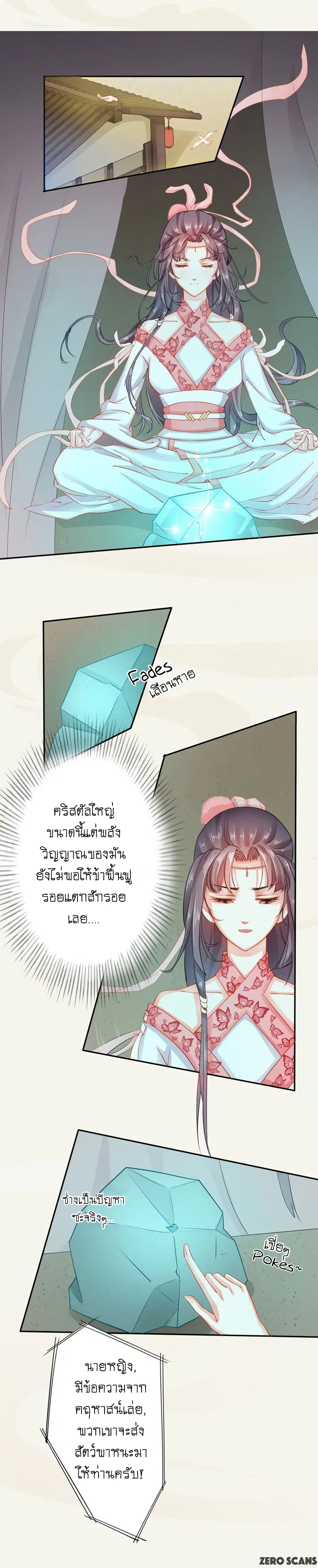 หน้า 10 จาก 13