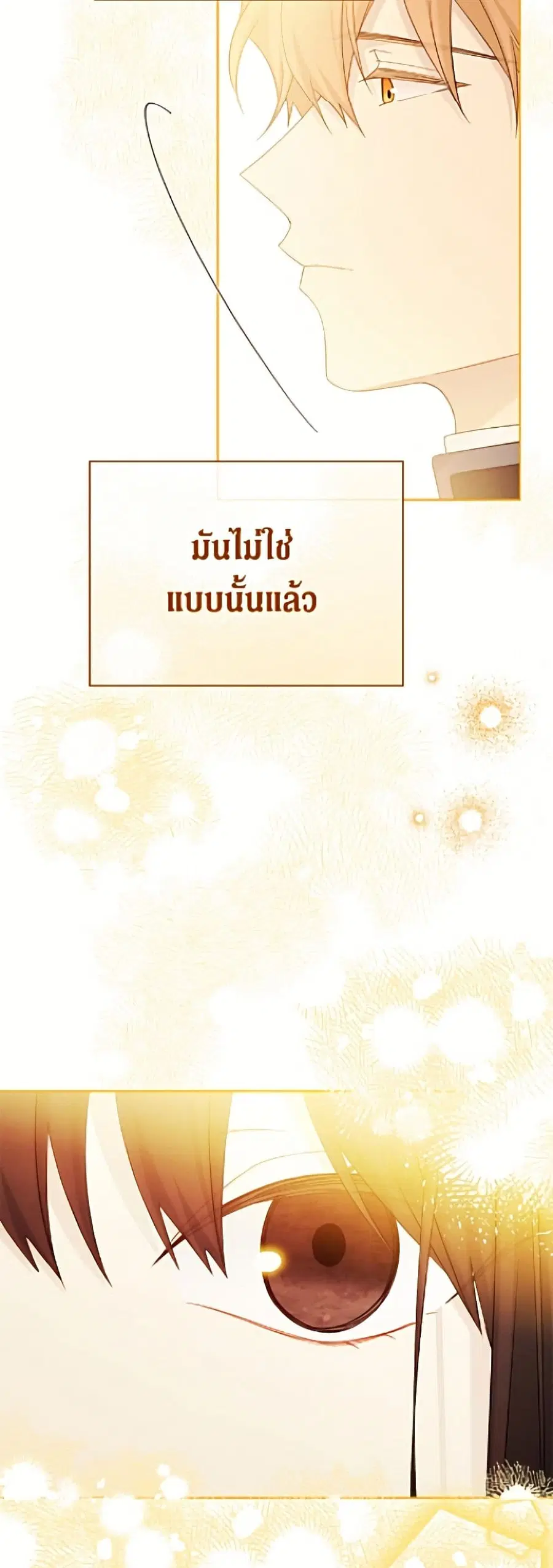 หน้า 26 จาก 52