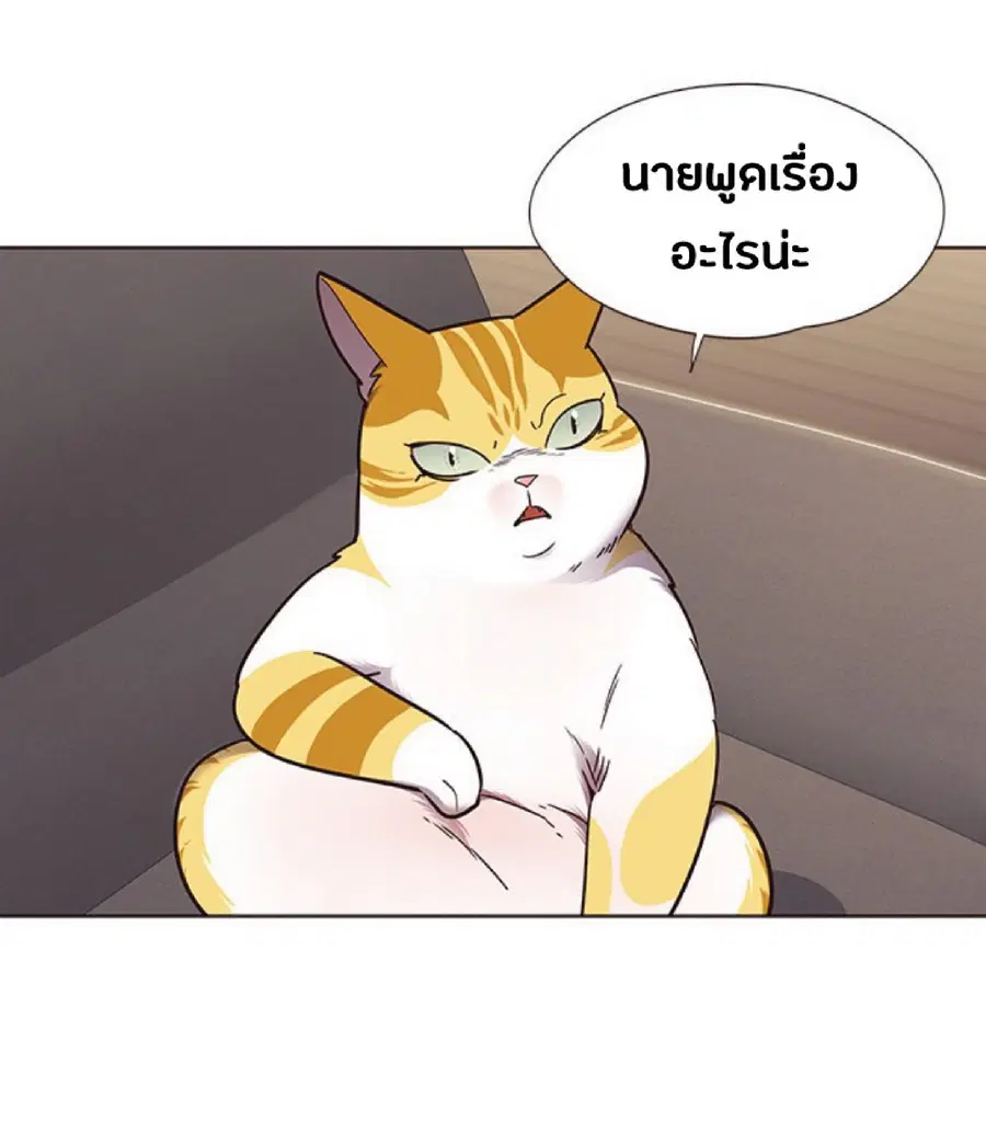 หน้า 73 จาก 82