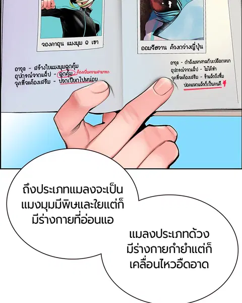 หน้า 10 จาก 146
