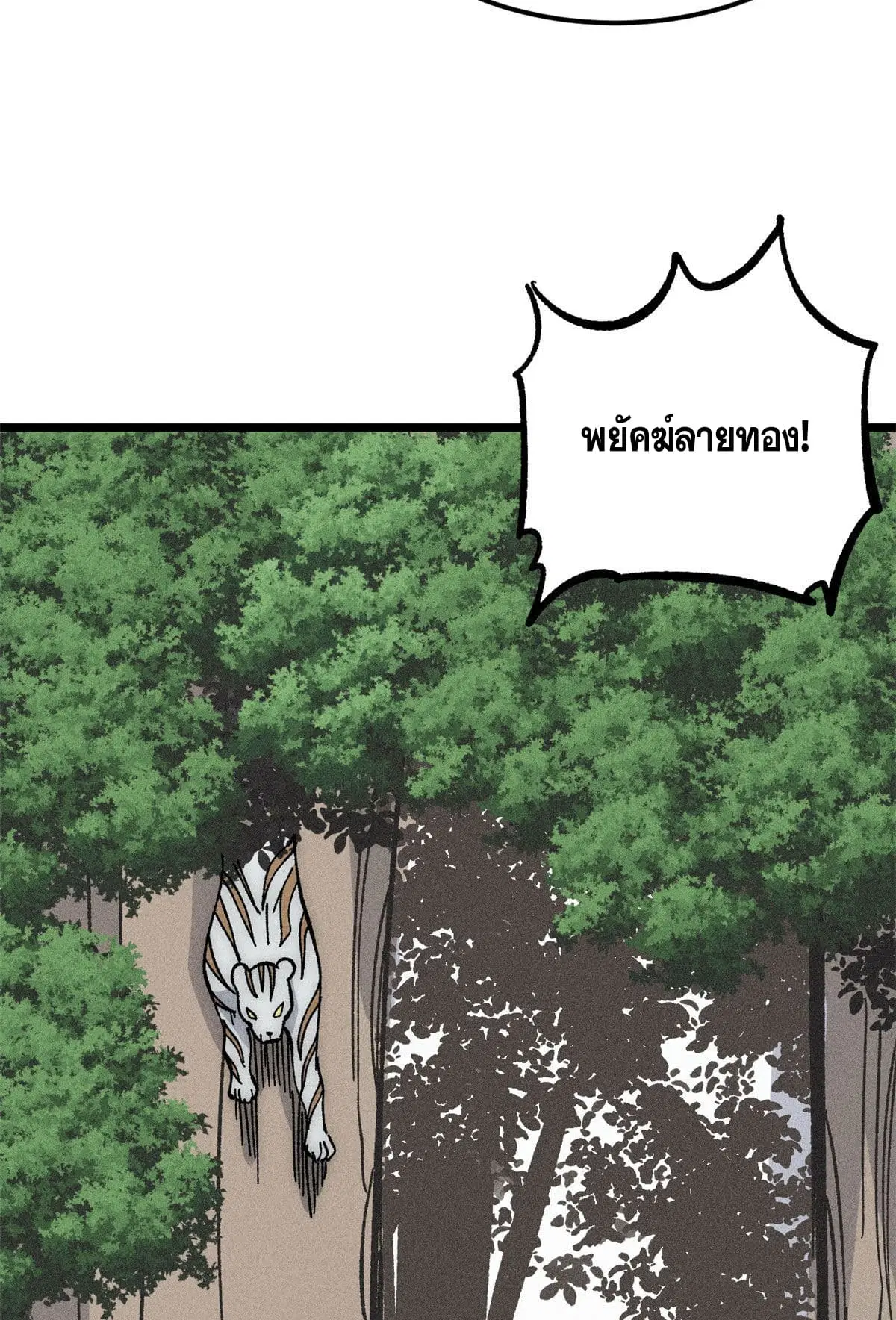 หน้า 12 จาก 68