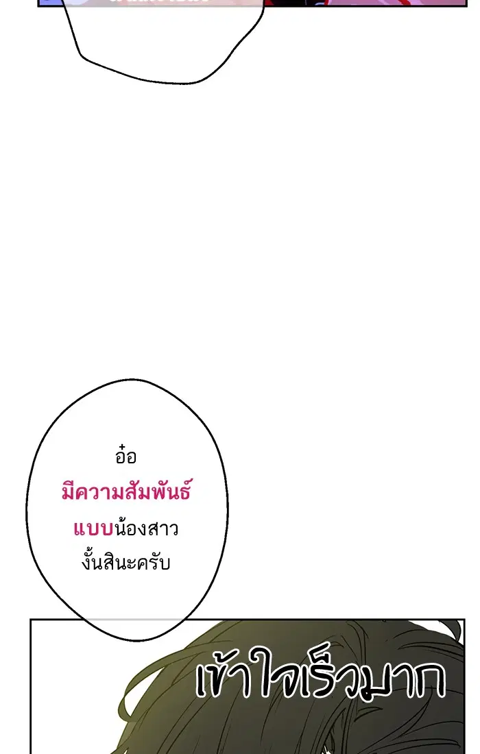 หน้า 41 จาก 85