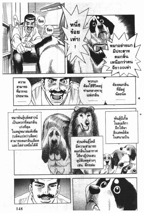 หน้า 5 จาก 19