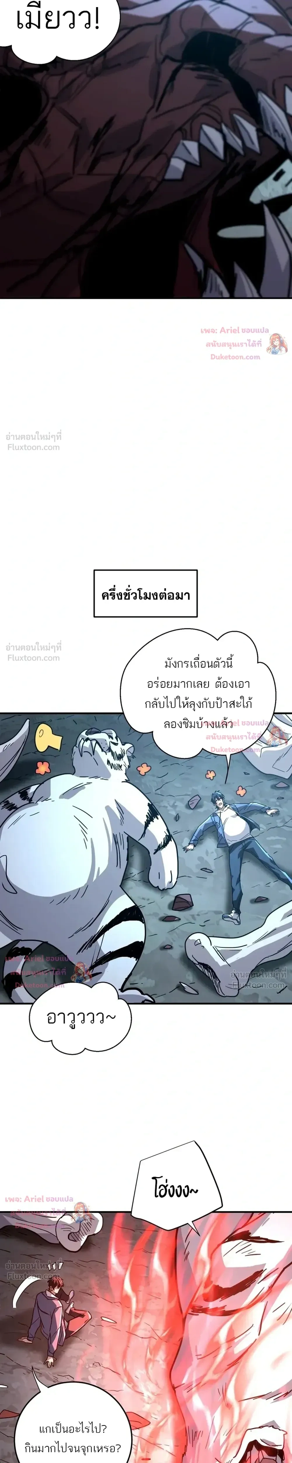 หน้า 11 จาก 25