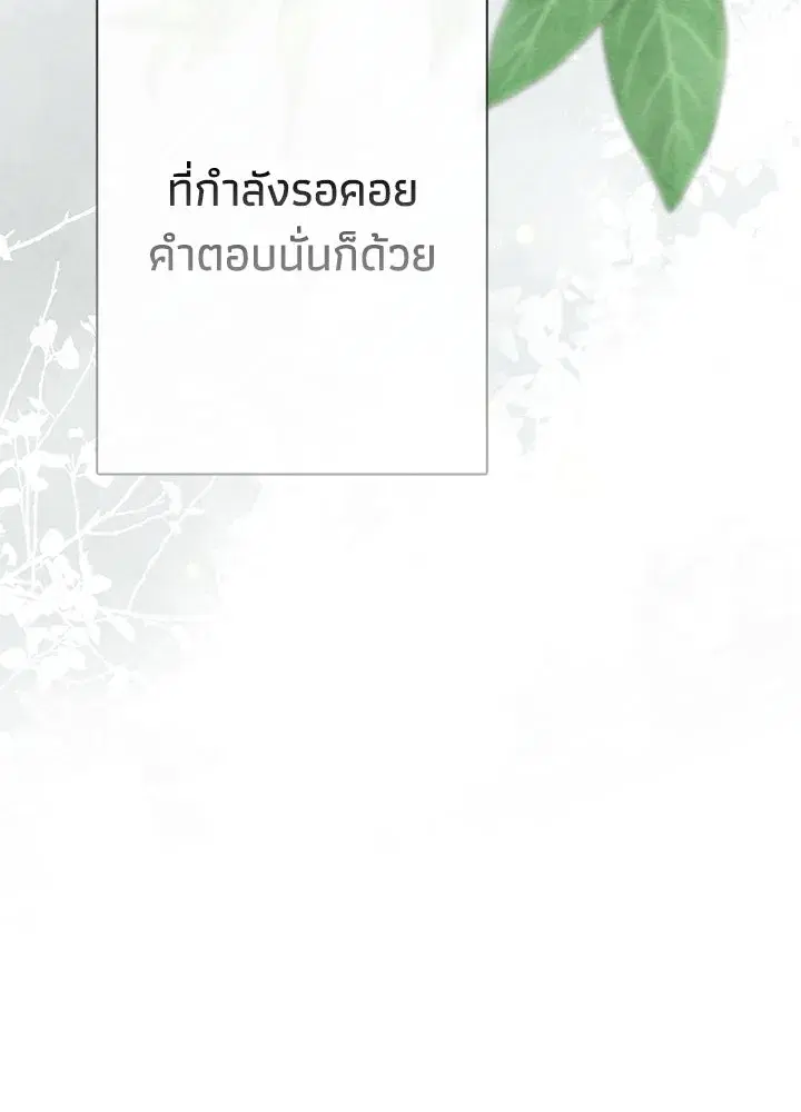 หน้า 37 จาก 164