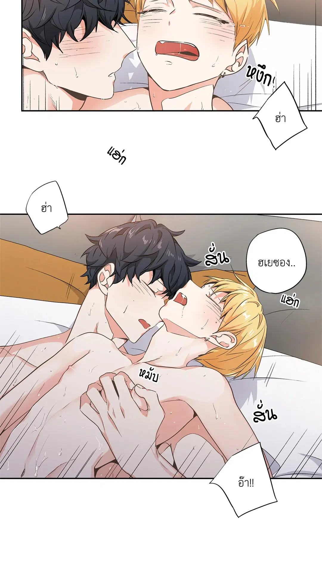 หน้า 10 จาก 44