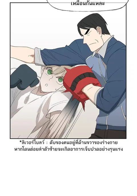 หน้า 43 จาก 126