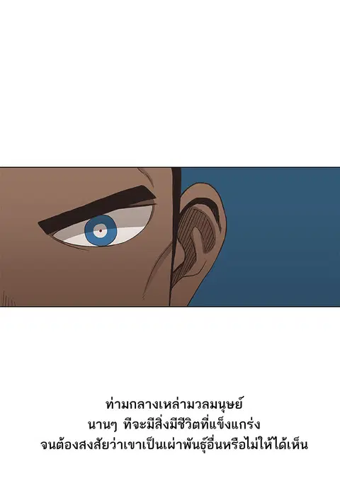 หน้า 66 จาก 123