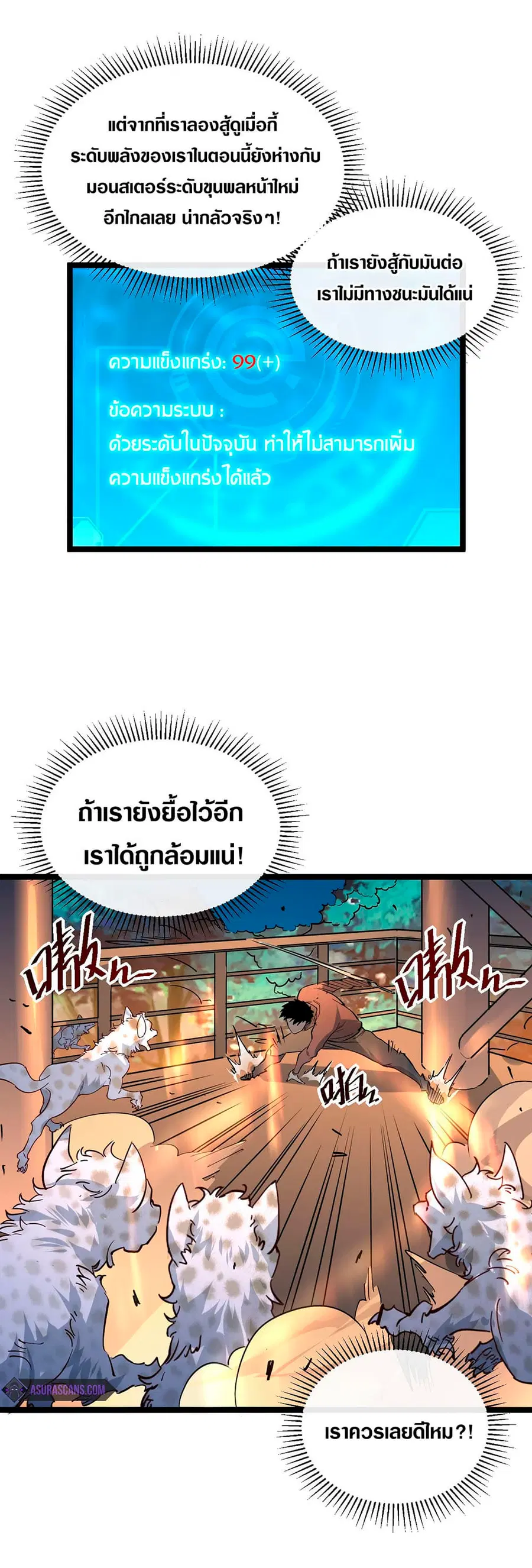 หน้า 17 จาก 33