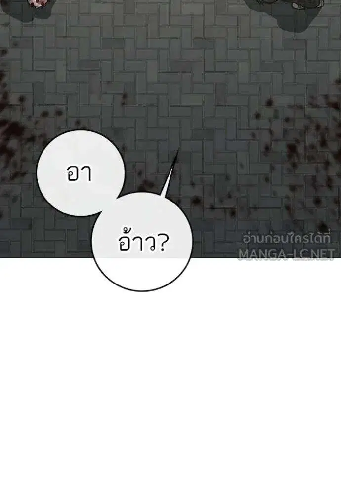 หน้า 195 จาก 210