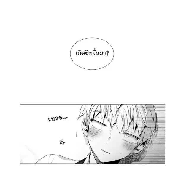 หน้า 3 จาก 42
