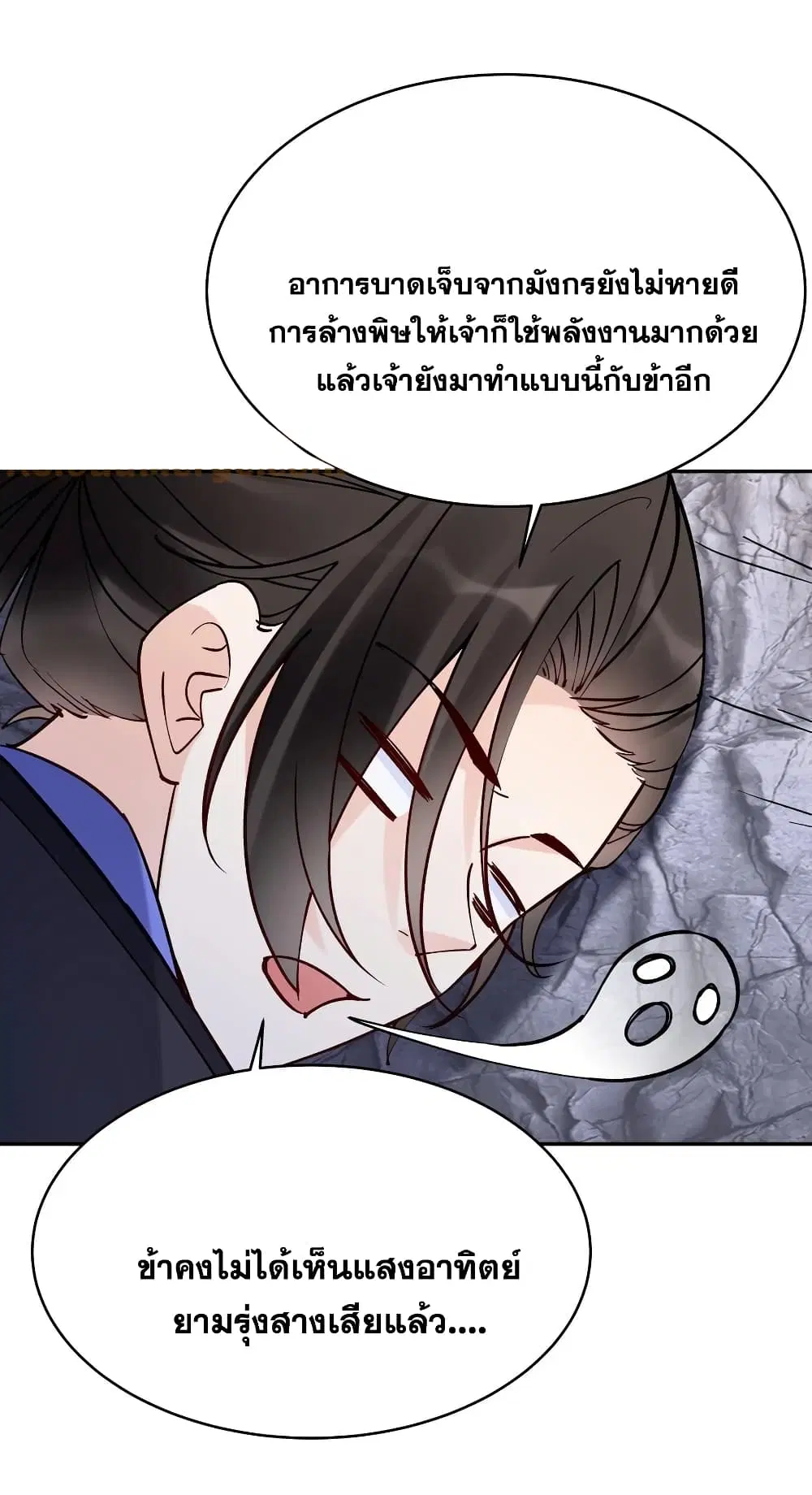 หน้า 24 จาก 29
