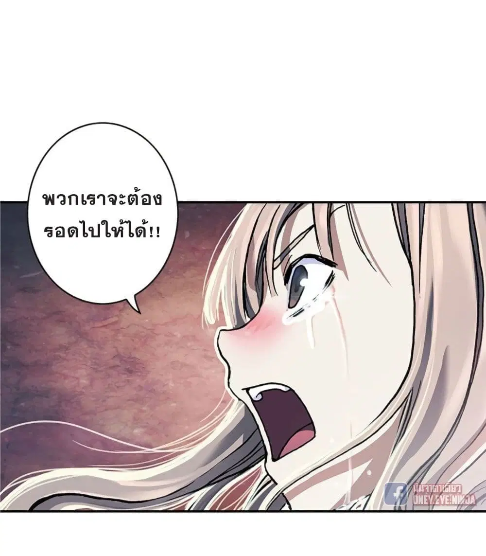 หน้า 50 จาก 66