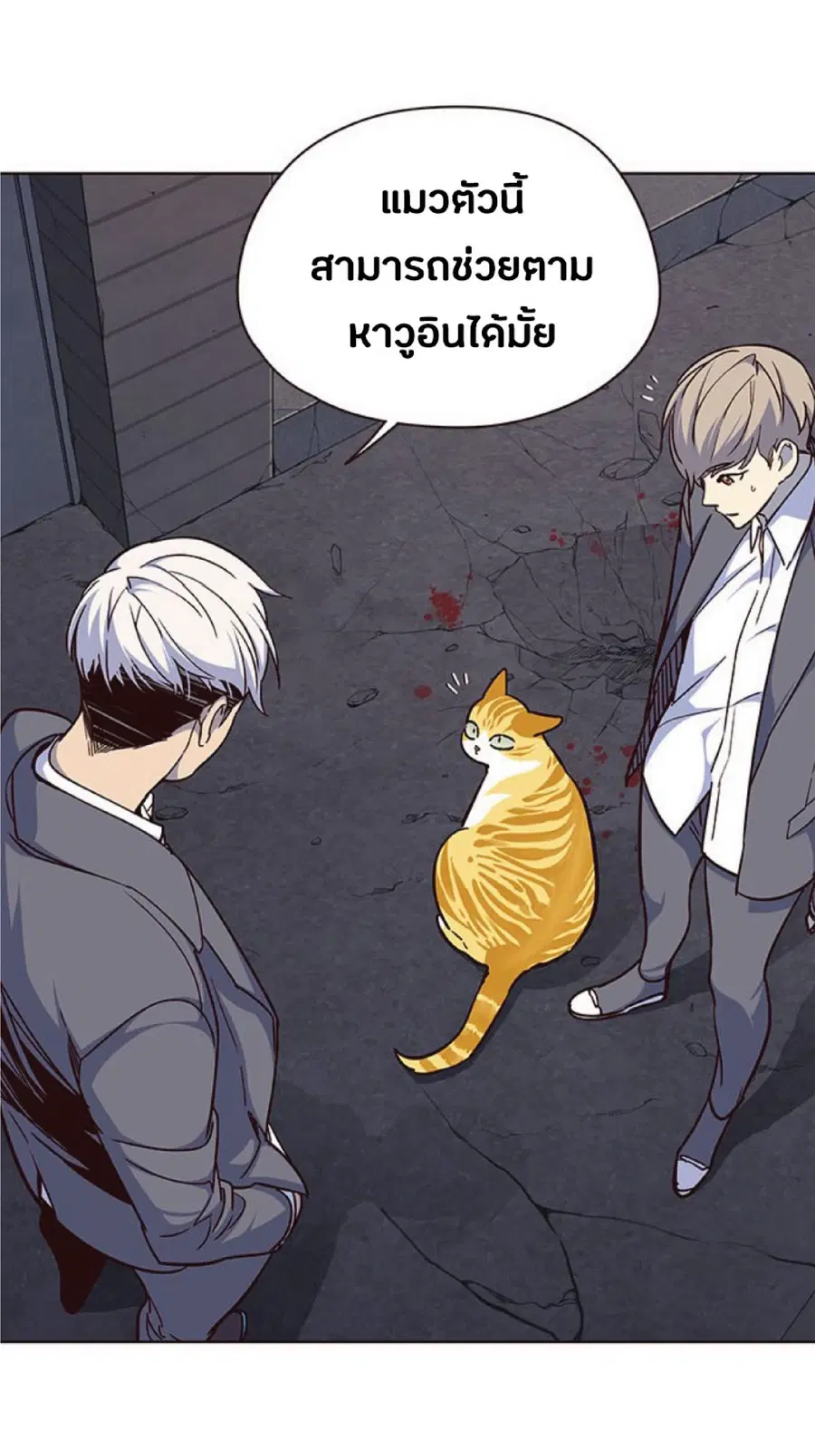 หน้า 48 จาก 85