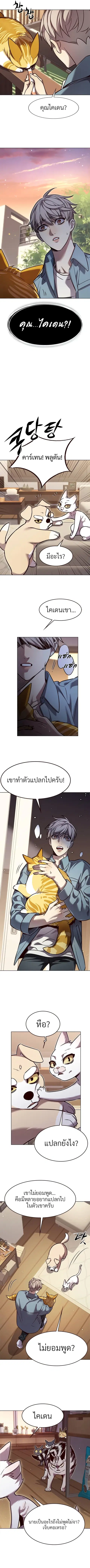หน้า 5 จาก 13