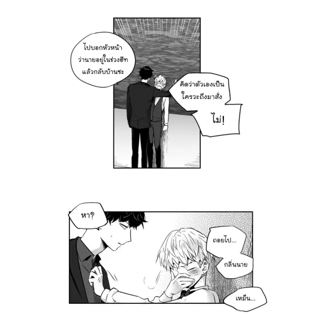 หน้า 11 จาก 42