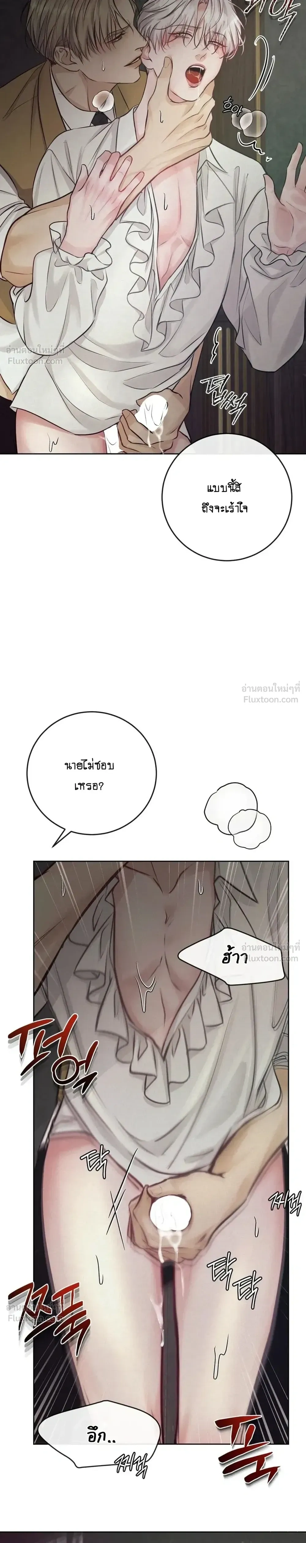 หน้า 4 จาก 31