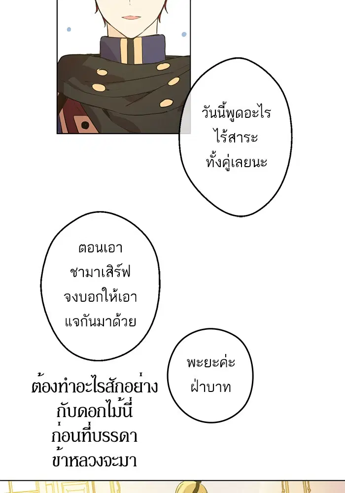 หน้า 35 จาก 78