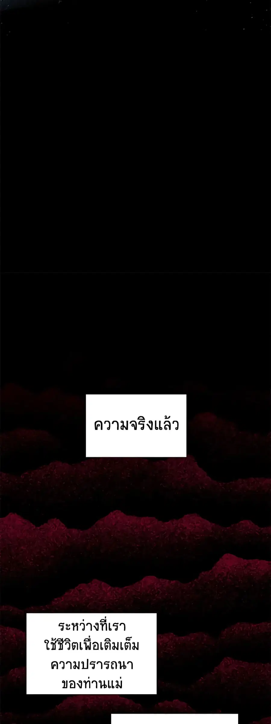 หน้า 28 จาก 40
