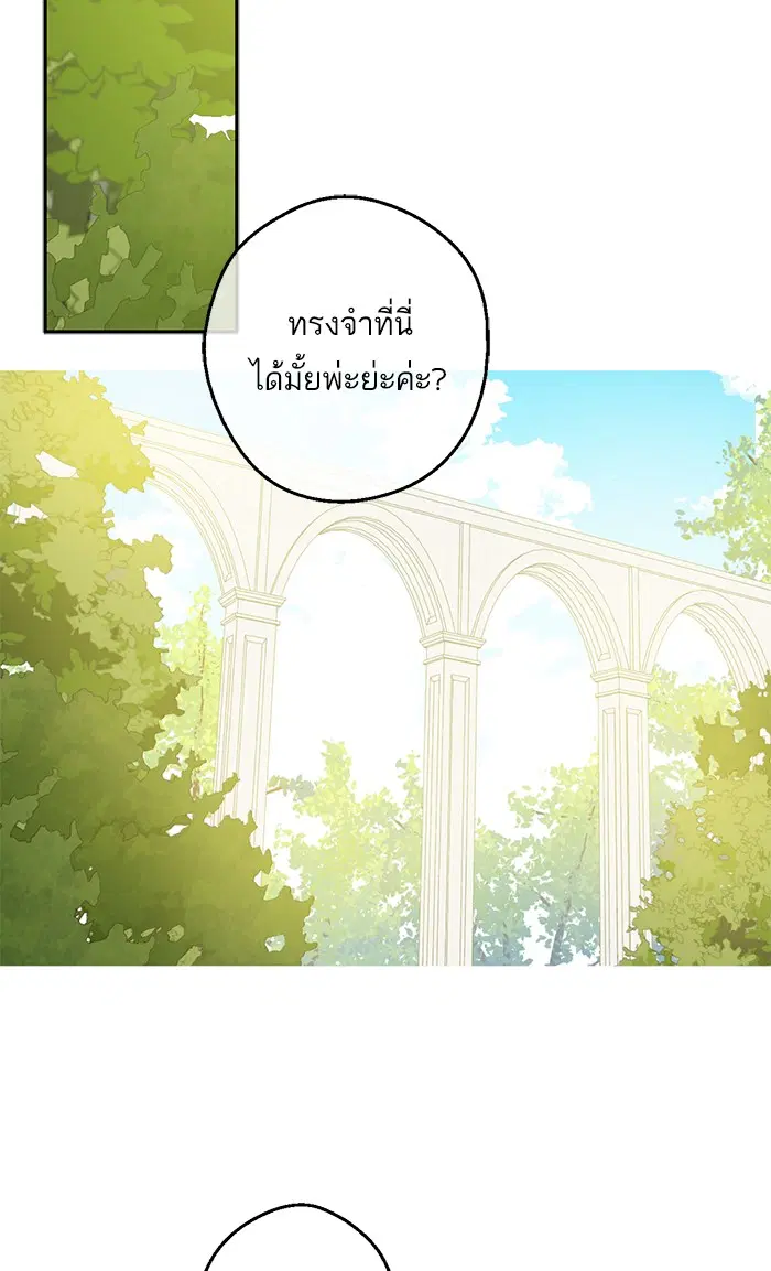 หน้า 64 จาก 84