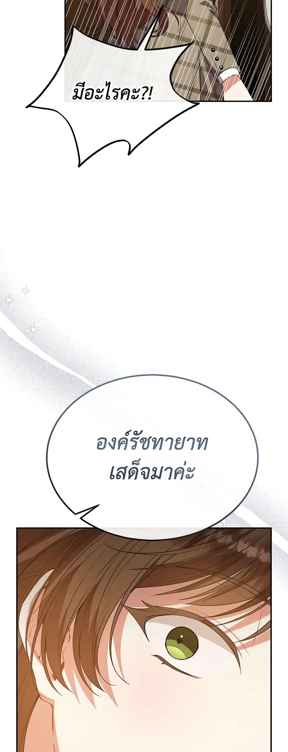 หน้า 11 จาก 46