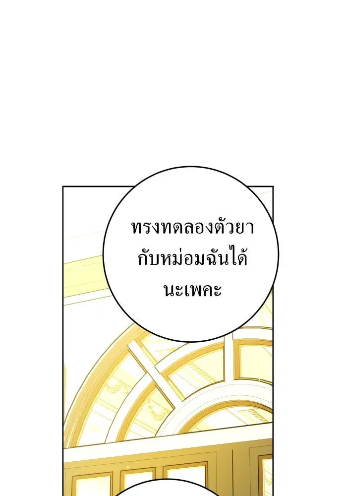 หน้า 11 จาก 164