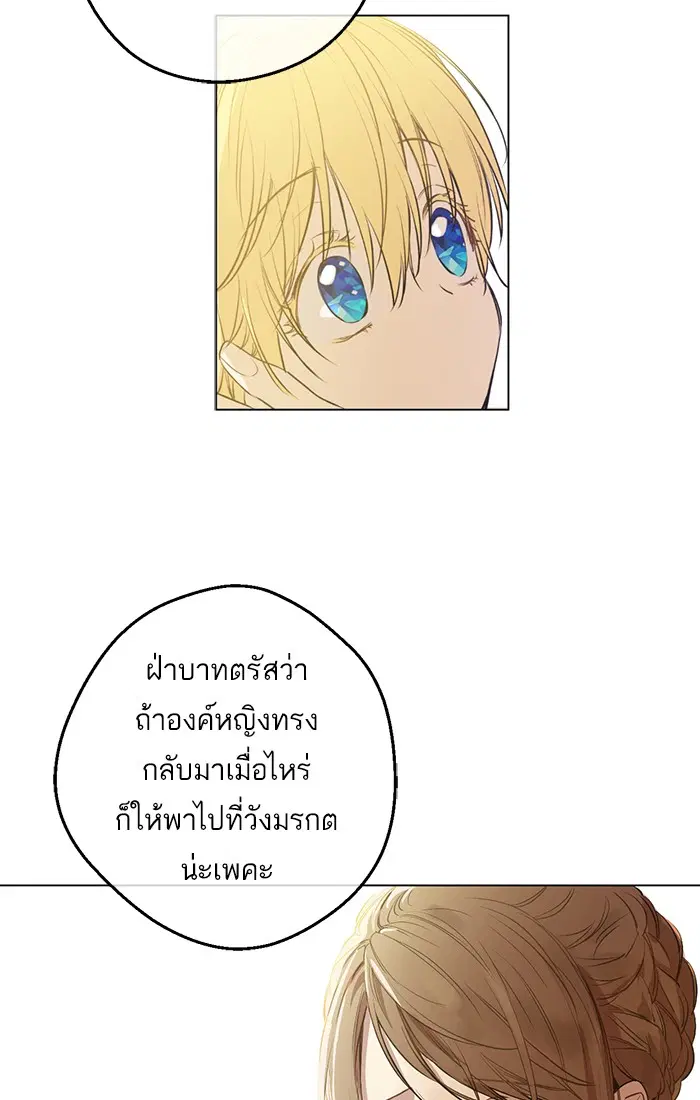 หน้า 8 จาก 81