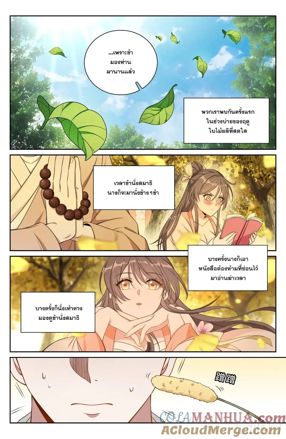 หน้า 17 จาก 25