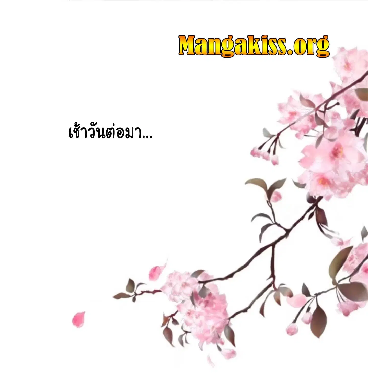 หน้า 8 จาก 17