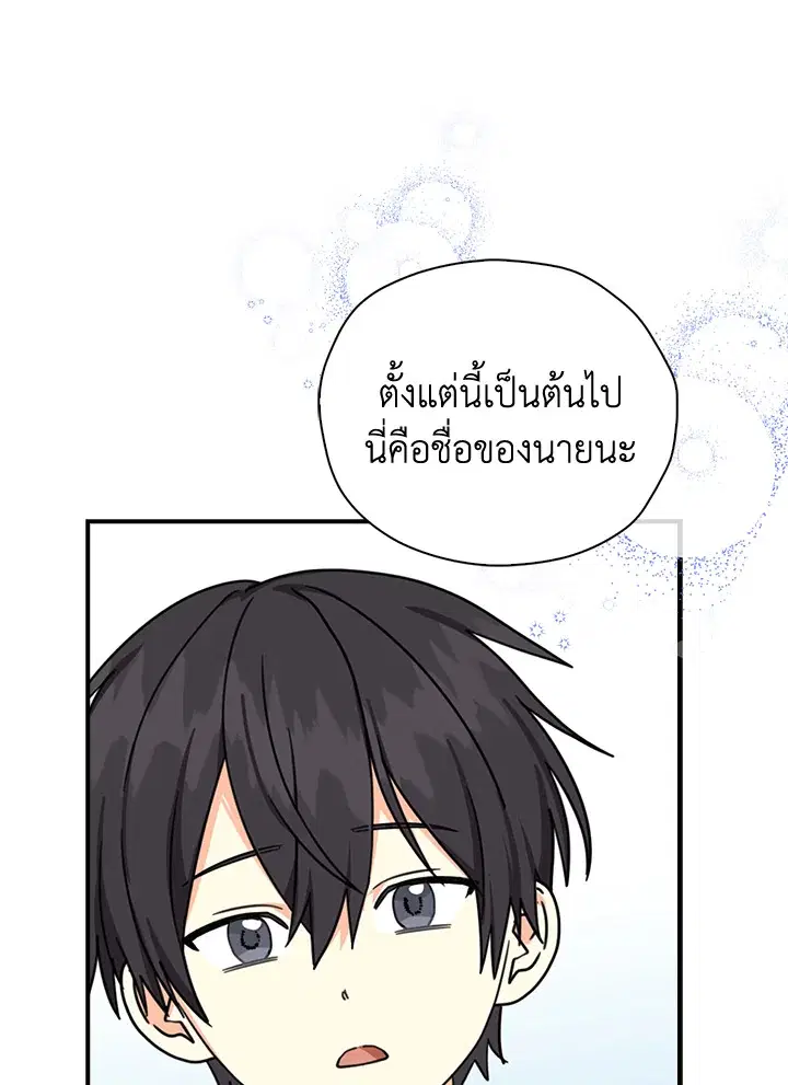 หน้า 11 จาก 85