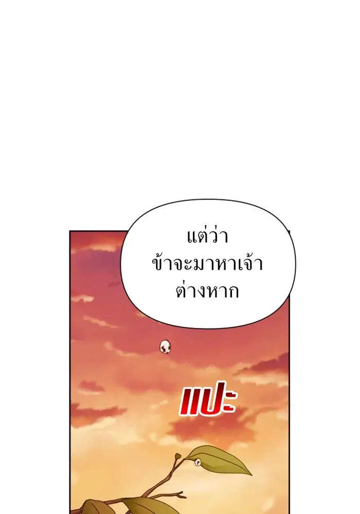 หน้า 113 จาก 186