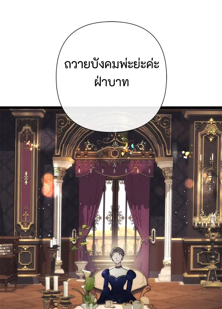 หน้า 100 จาก 158