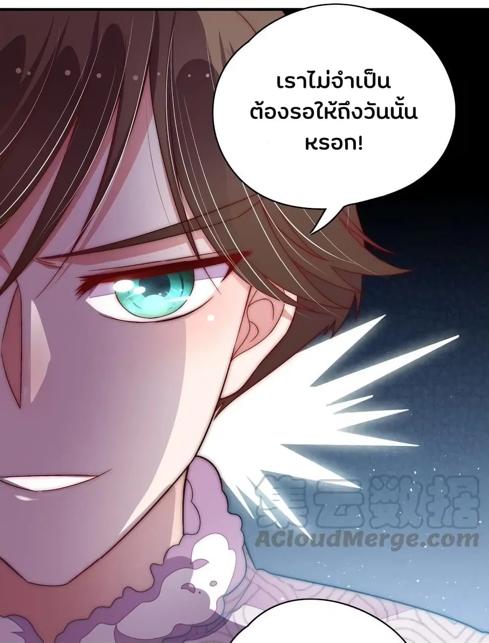 หน้า 14 จาก 17