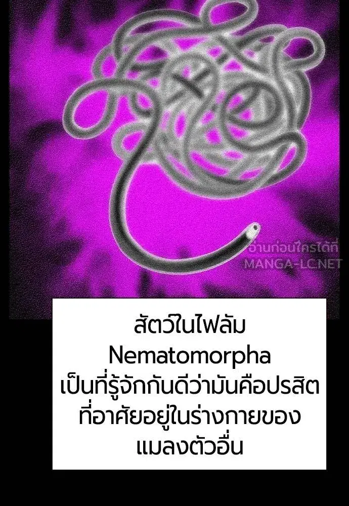 หน้า 51 จาก 174