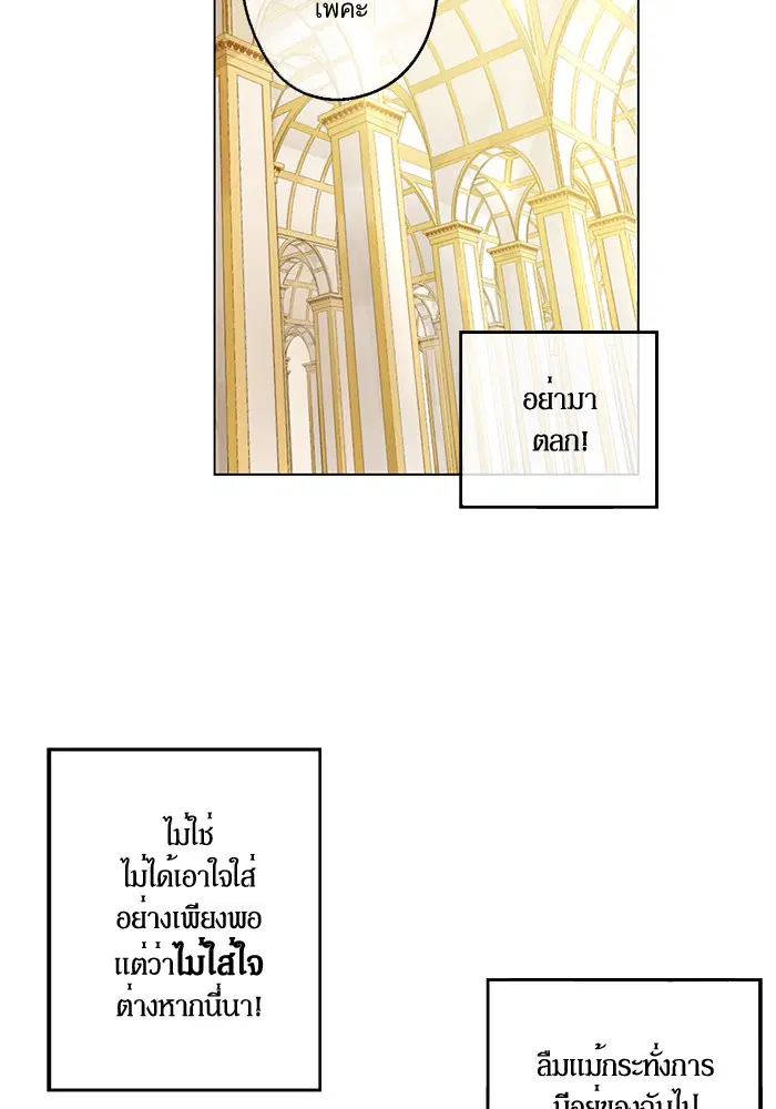 หน้า 4 จาก 60