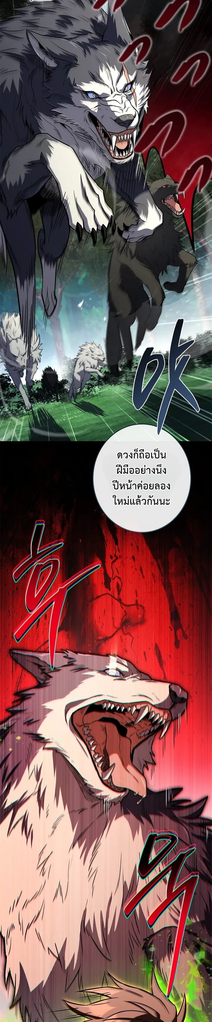 หน้า 17 จาก 26