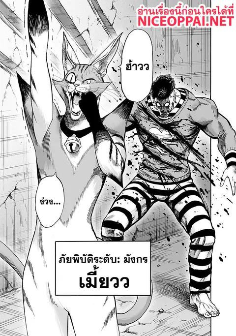หน้า 26 จาก 42