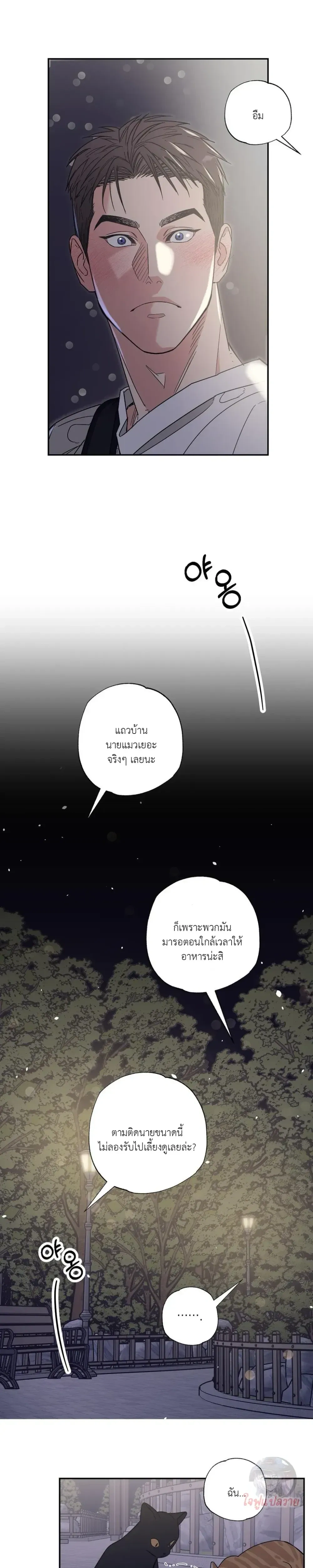 หน้า 13 จาก 22