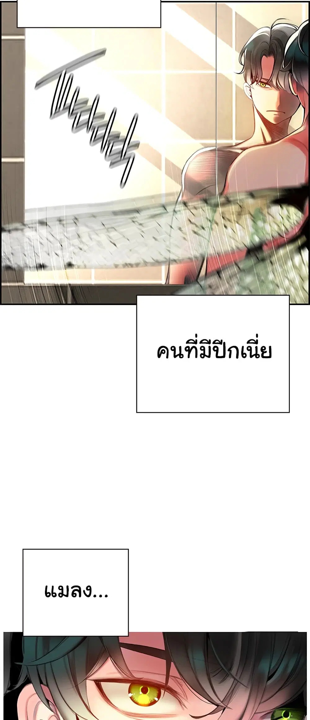 หน้า 3 จาก 41