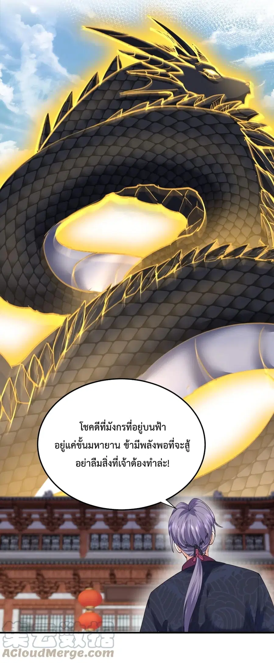 หน้า 41 จาก 43