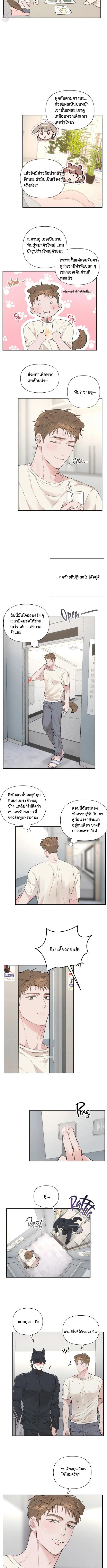หน้า 6 จาก 7