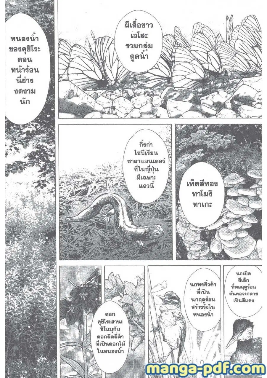 หน้า 14 จาก 18