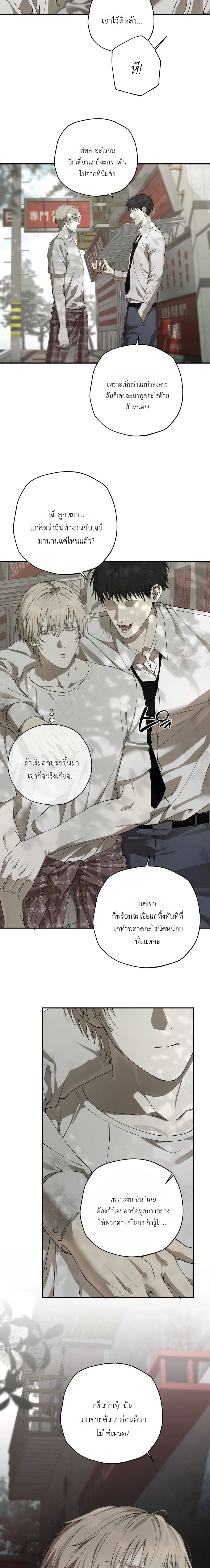 หน้า 5 จาก 20