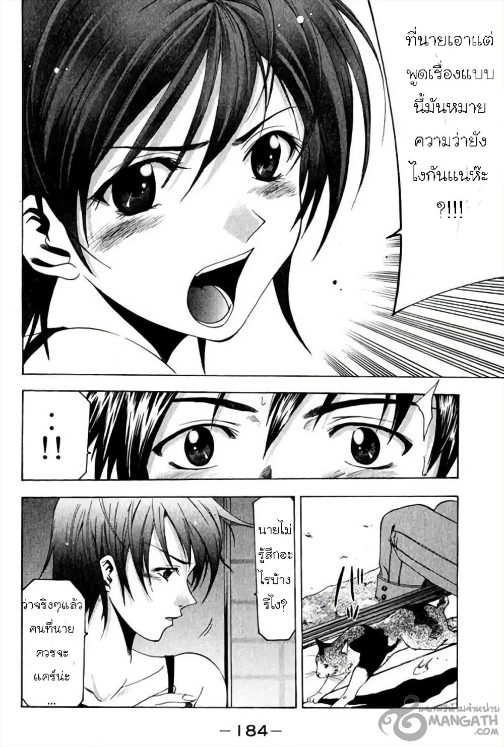 หน้า 13 จาก 20