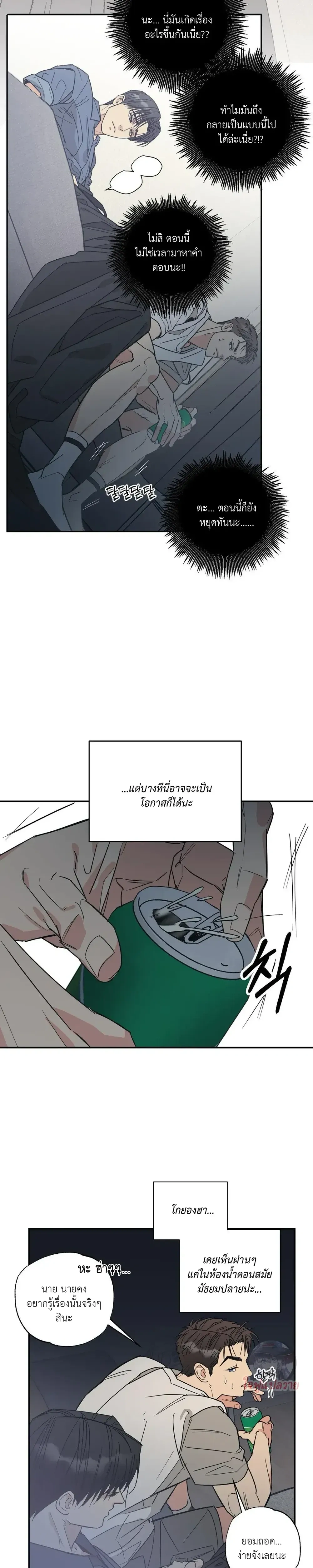 หน้า 11 จาก 19