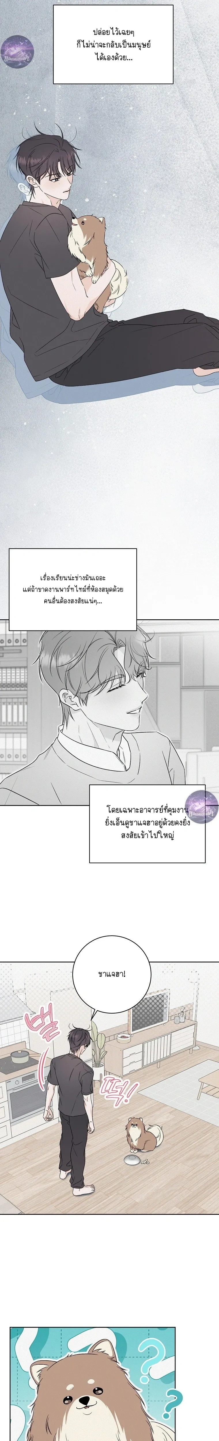 หน้า 14 จาก 22